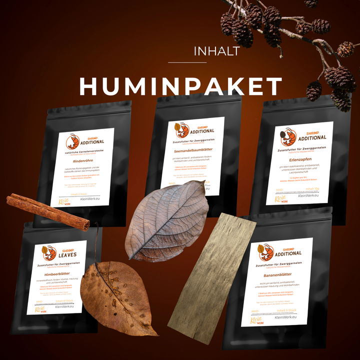 Blätter & Naturmaterial Starter-Paket