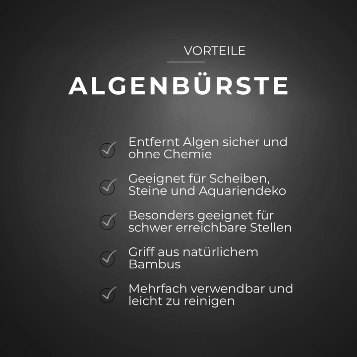 Algenbürste mit natürlichem Bambusgriff und weißen Borsten auf dunklem Hintergrund mit Produktvorteilen in weißer Schrift.