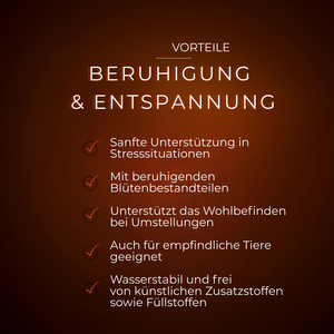 Shrimp Lolli Beruhigung & Entspannung Vorteile auf dunkelbraunem Hintergrund mit weißem Text.