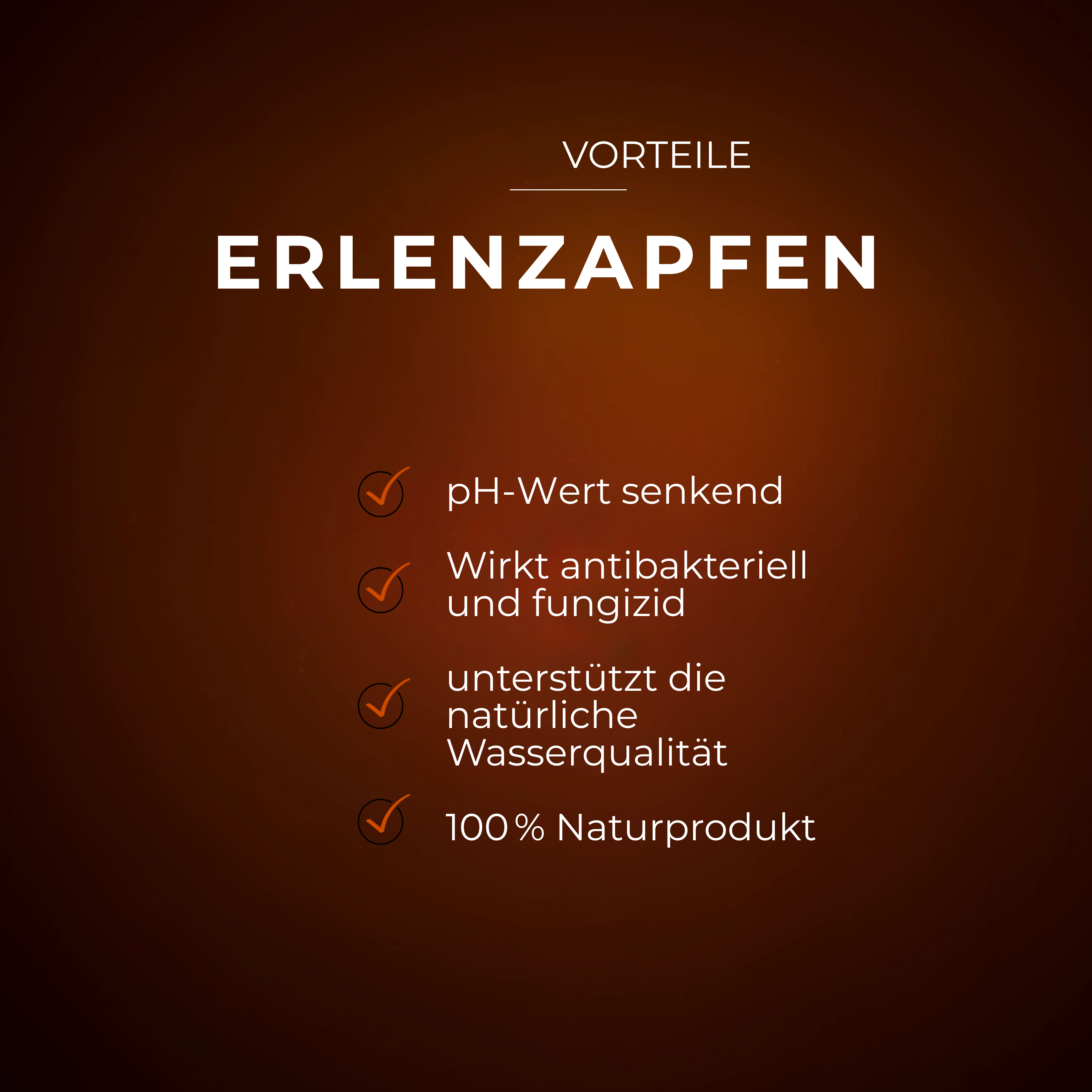 Textgrafik mit Vorteilen von Erlenzapfen auf dunkelbraunem Hintergrund, hervorgehobene Punkte mit orangefarbenen Häkchen.