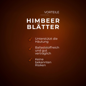 Braune Tafel mit Vorteilen von Himbeerblättern in weißer Schrift auf dunklem Hintergrund.