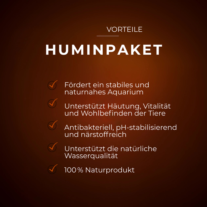 Blätter & Naturmaterial Starter-Paket