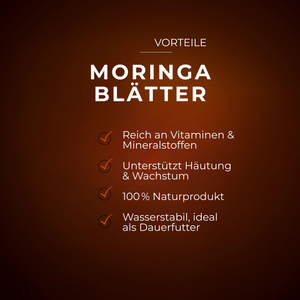 Helles, trockenes Moringablattpulver mit Text zu Vorteilen und Nährwert auf braunem Hintergrund.