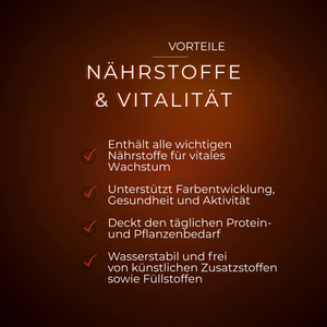 Orangefarbener Hintergrund mit Vorteilstext zu Nährstoffen und Vitalität in weißer Schrift und orangefarbenen Häkchen.