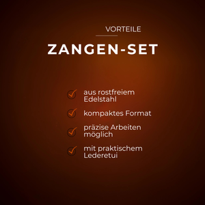 Aquarienzangen-Set aus rostfreiem Edelstahl mit kompakter Form und praktischem Lederetui auf braunem Hintergrund.