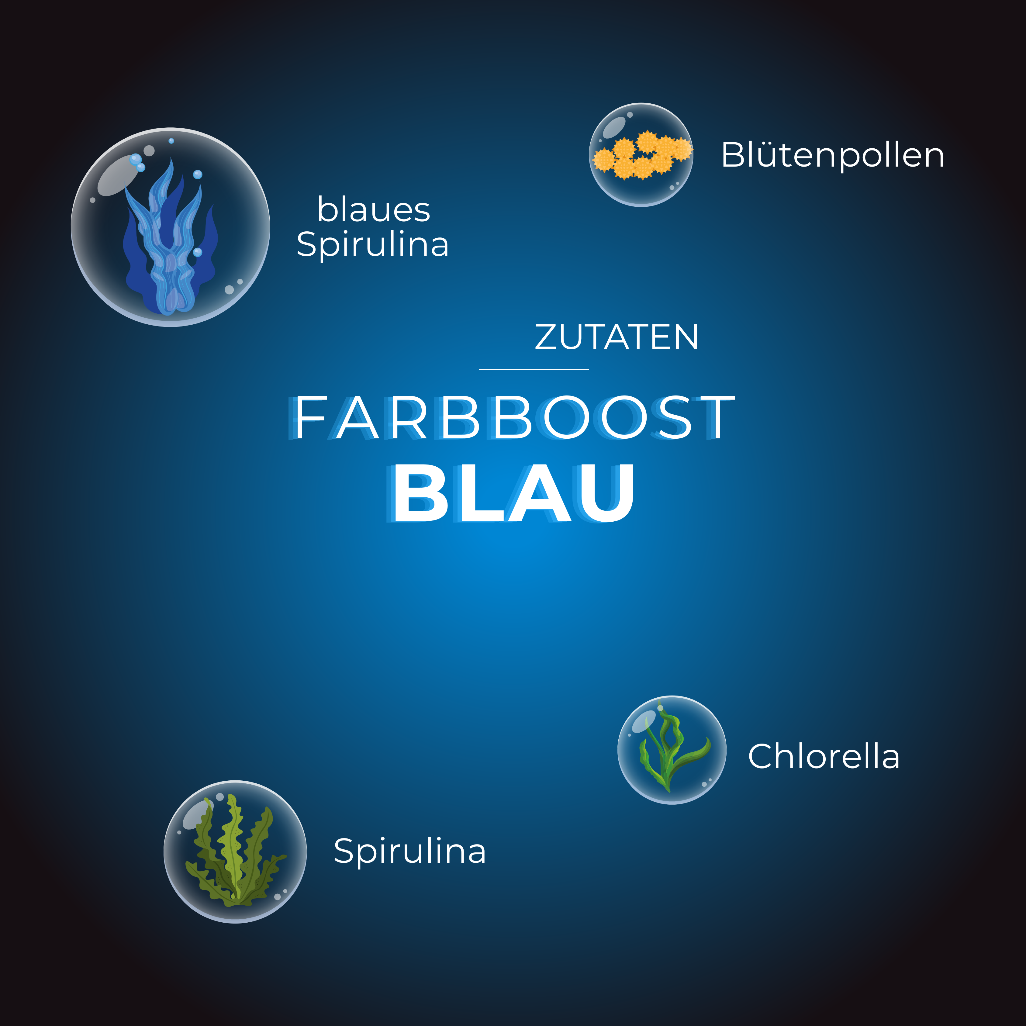 Blaues Spirulina- und Chlorella-Design mit Blütenpollen und Spirulina-Symbolen auf blauem Hintergrund.