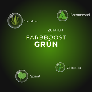 Grüner Farbboost mit Spirulina, Brennnessel, Spinat und Chlorella auf grünem Hintergrund.