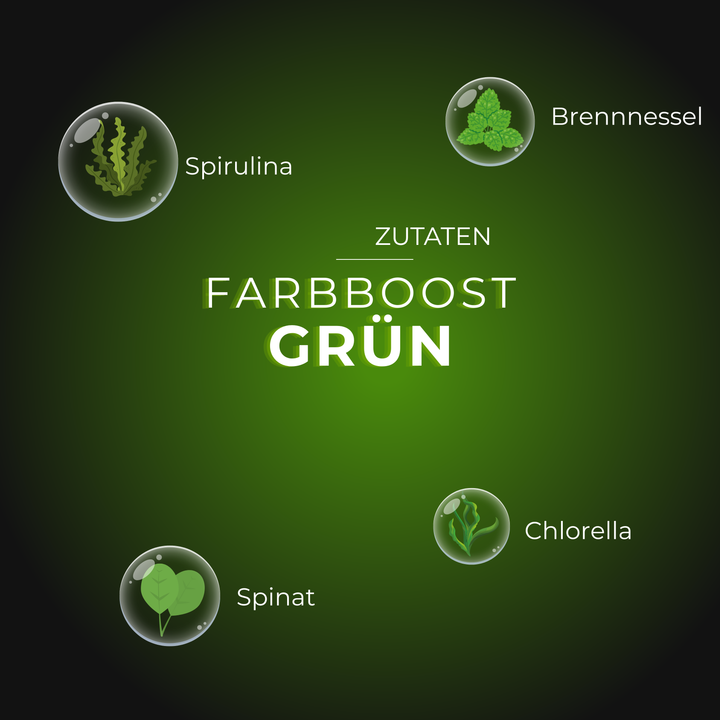 Grüner Farbboost mit Spirulina, Brennnessel, Spinat und Chlorella auf grünem Hintergrund.
