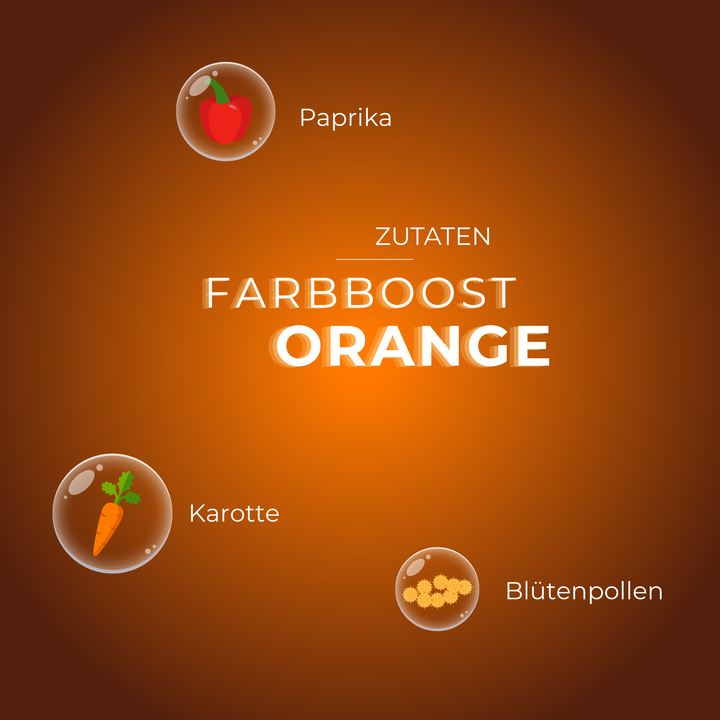Orangefarbener Hintergrund mit Icons von Paprika, Karotte und Blütenpollen und weißer Schrift "Farbboost Orange".