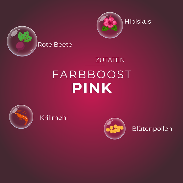 Farbboost Pink Produkt mit Zutaten Rote Beete, Hibiskus, Krillmehl und Blütenpollen auf violettem Hintergrund.
