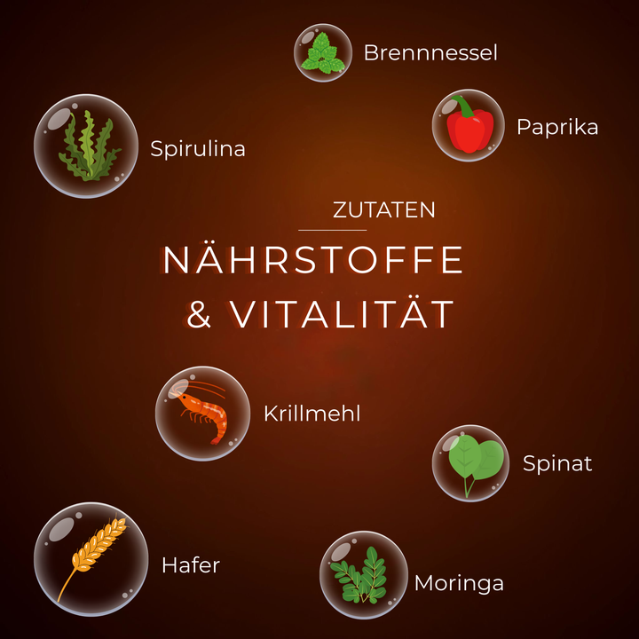 Braune Infografik mit Nährstoffquellen wie Spirulina, Brennnessel, Paprika, Krillmehl, Spinat, Hafer und Moringa.