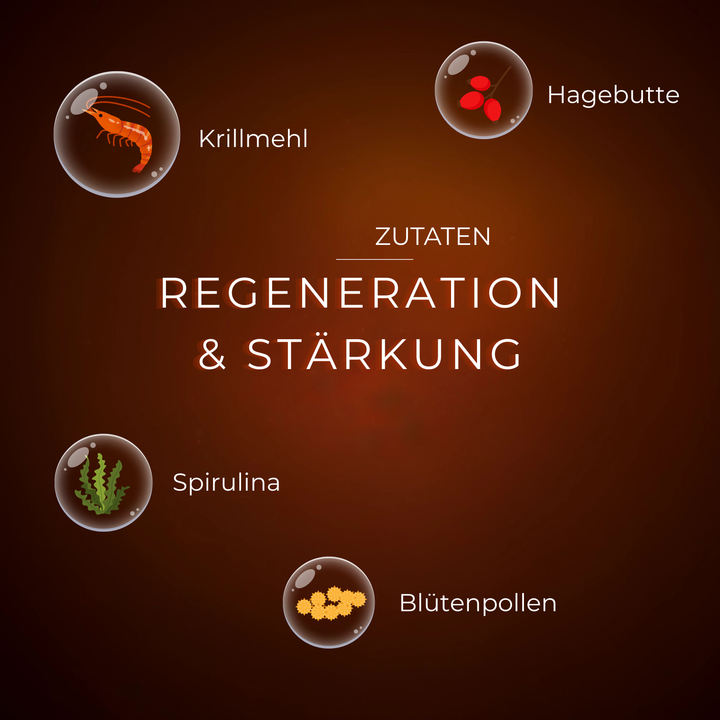 Krillmehl, Hagebutte, Spirulina, Blütenpollen für Regeneration & Stärkung.