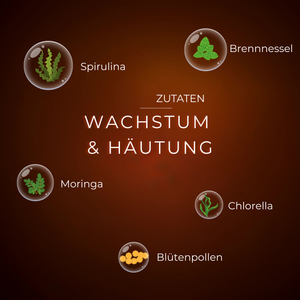 Spirulina, Brennnessel, Moringa, Chlorella und Blütenpollen, Text "Wachstum & Häutung" zentral platziert.